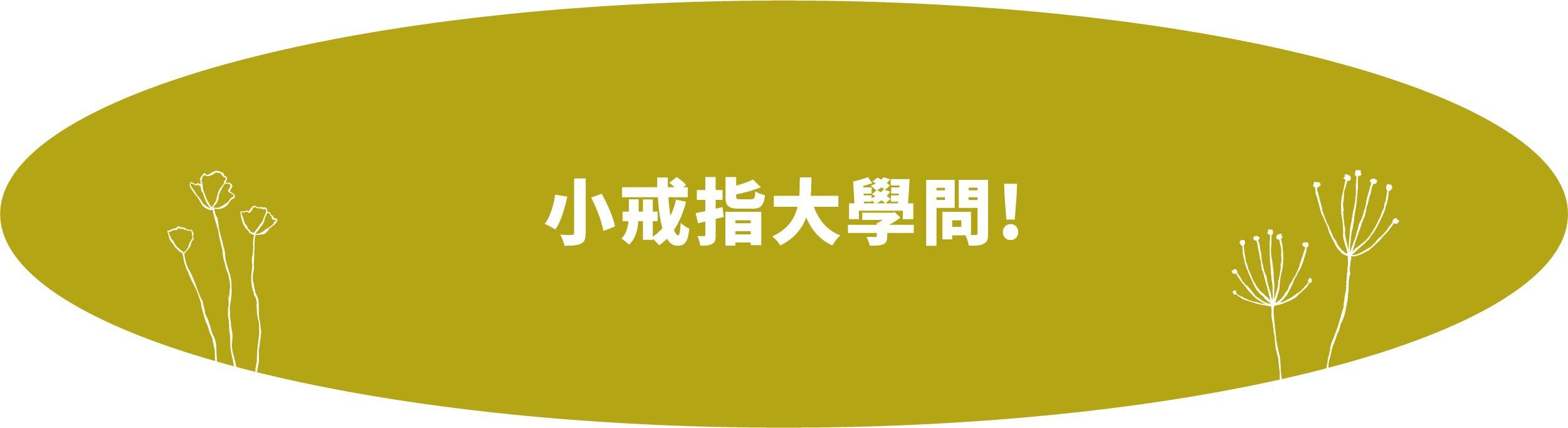 棉花糖女孩專屬 大尺碼系列飾品