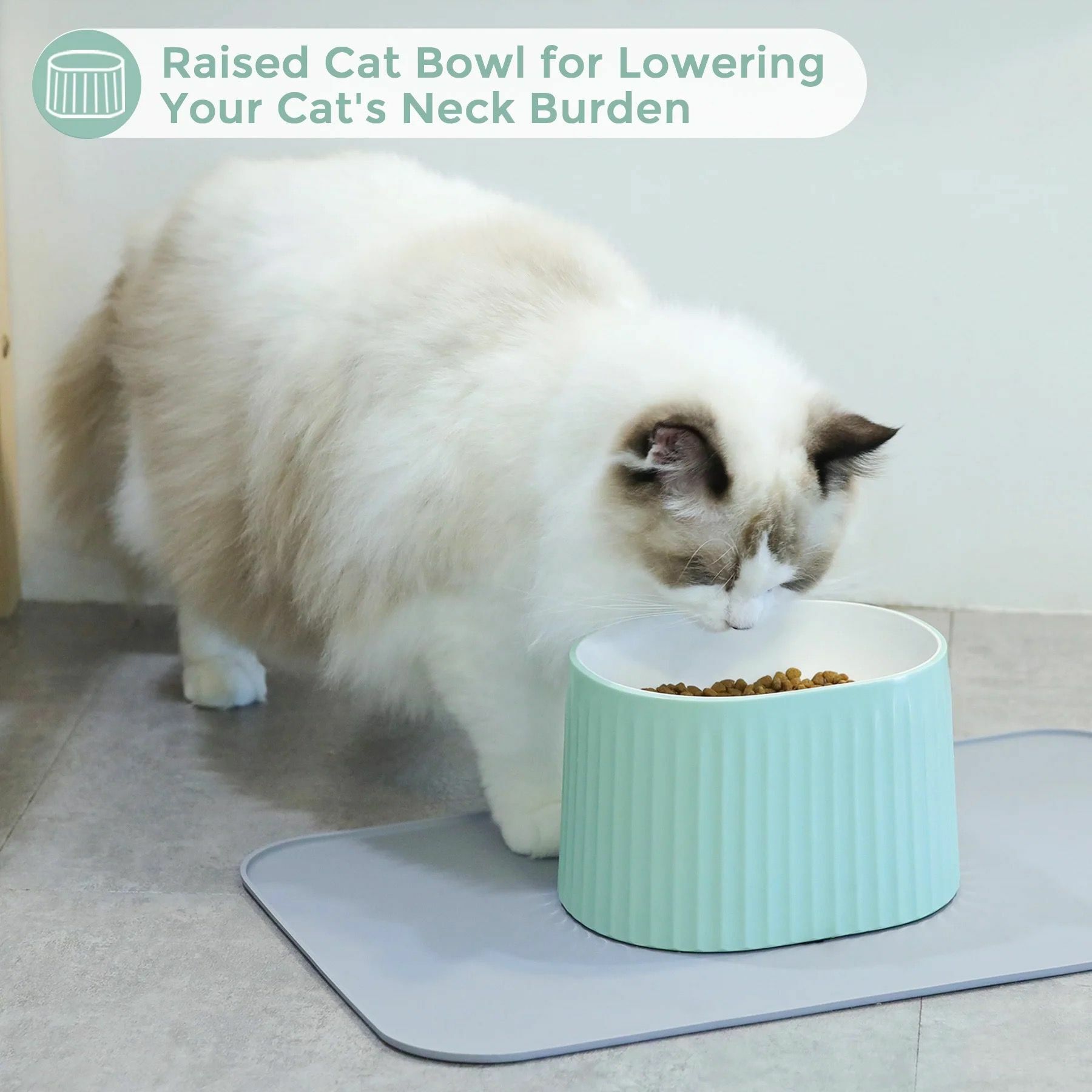 MSBC Stainless Steel Elevated Dog Bowl