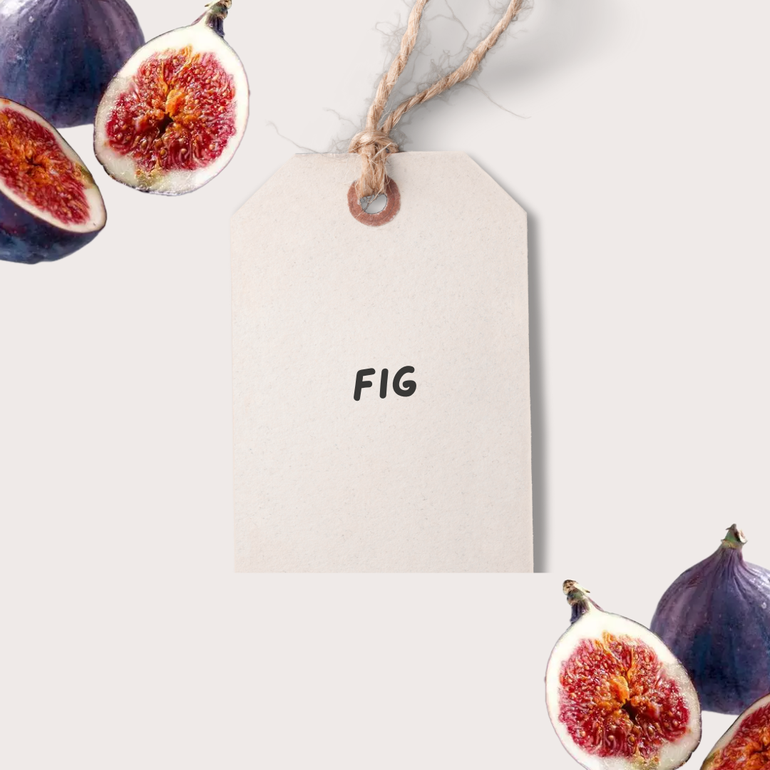 Fig