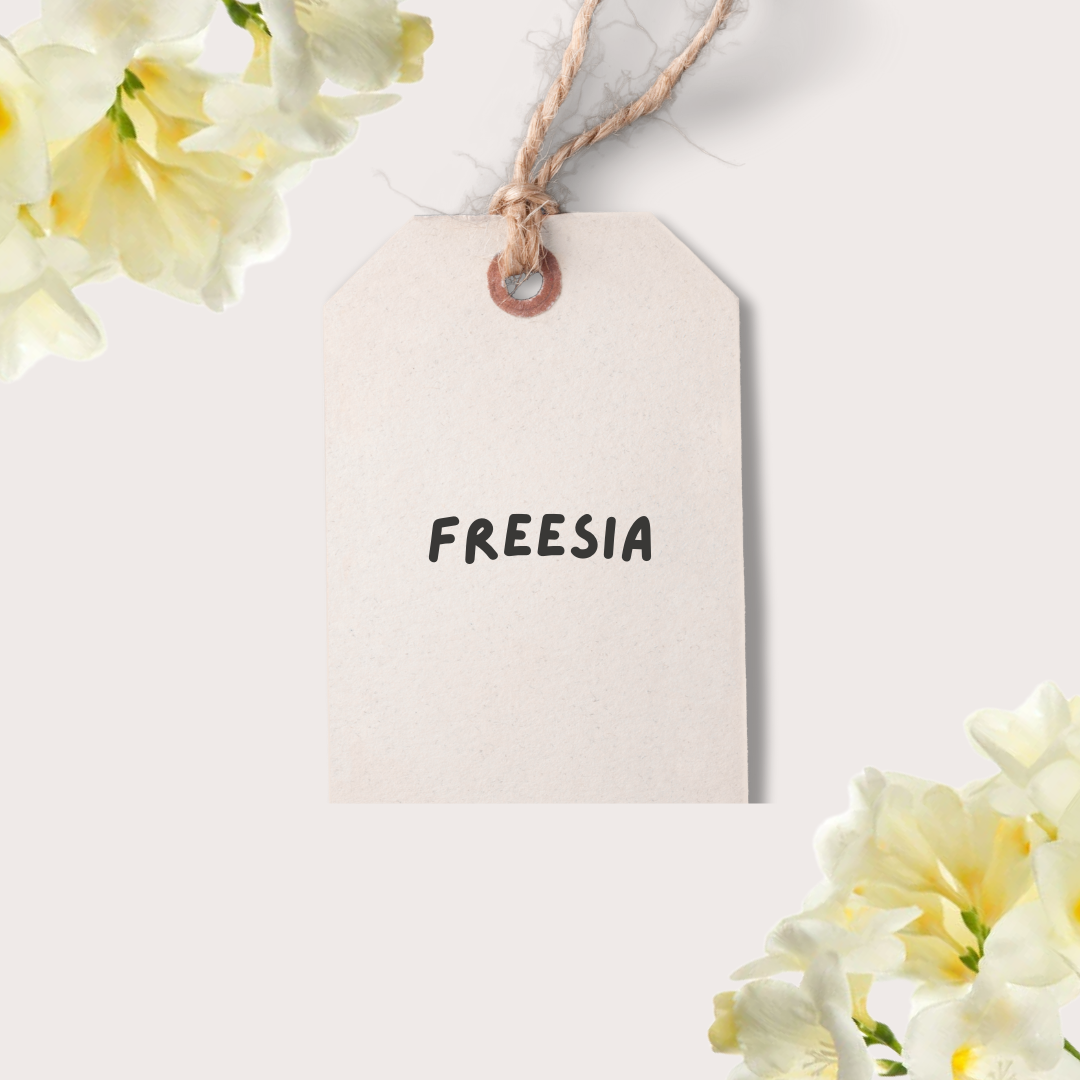 Freesia