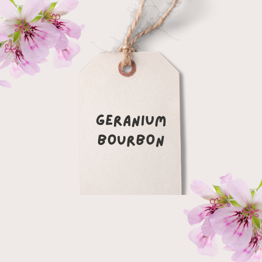 Geranium Bourbon