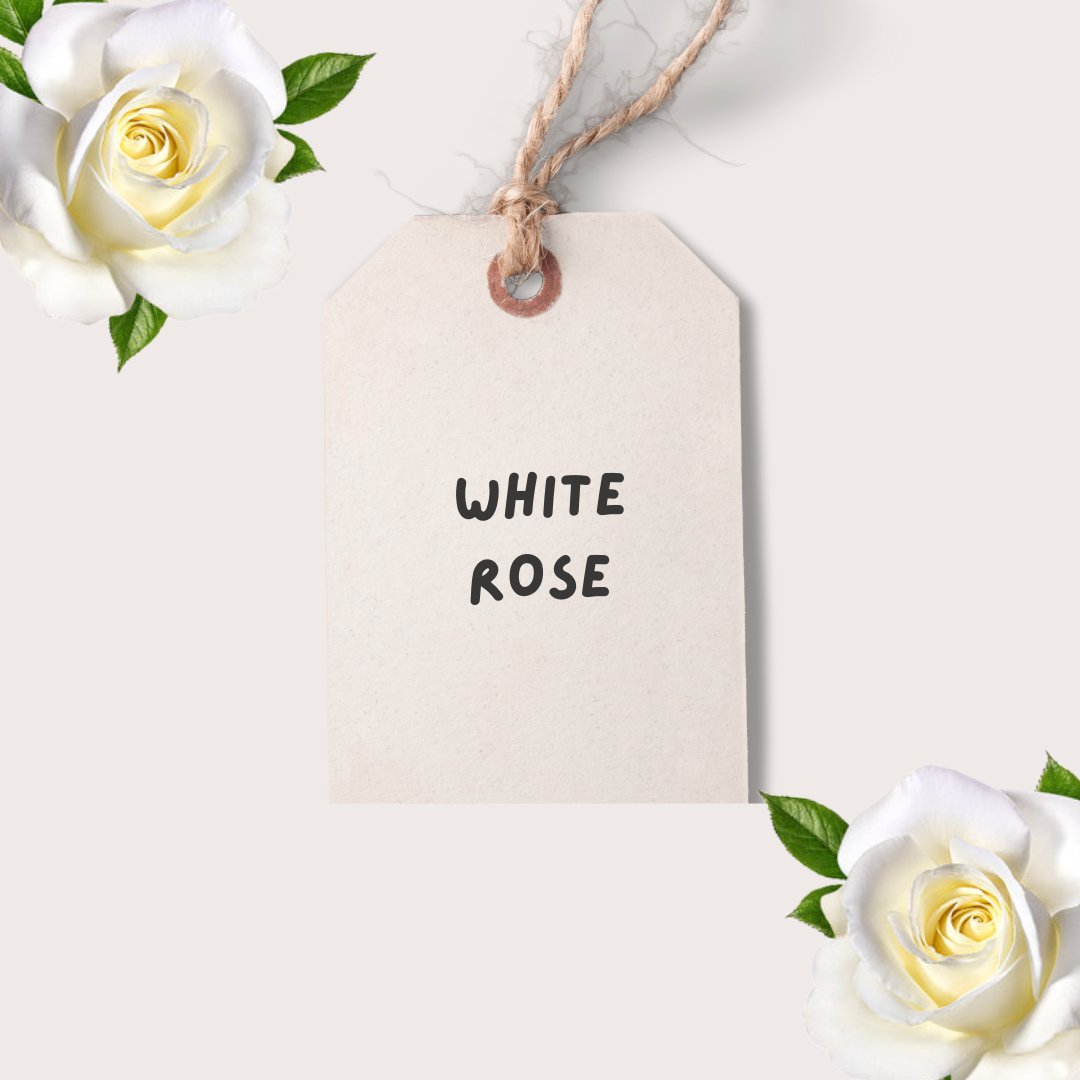 White Rose