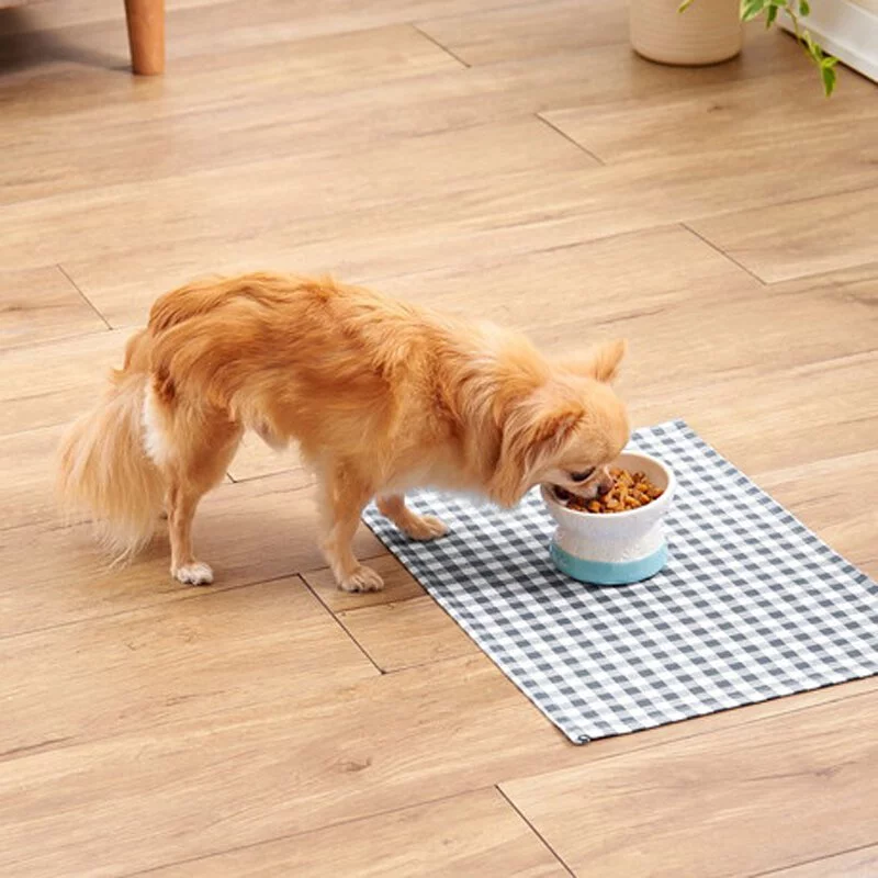 Add Mate Bevel Angle Raised&Anti-slip Ceramic Dog Bowl S