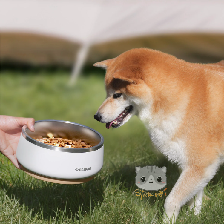 Pawaii GBowl Double Layer Stainless-Steel Dog Bowl 1L