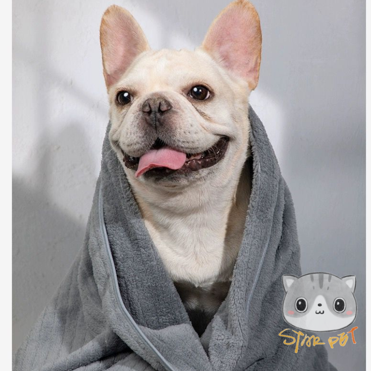 Super Absorbent Quick Drying Bath Towel (Grey/Yellow/Blue/Pink)