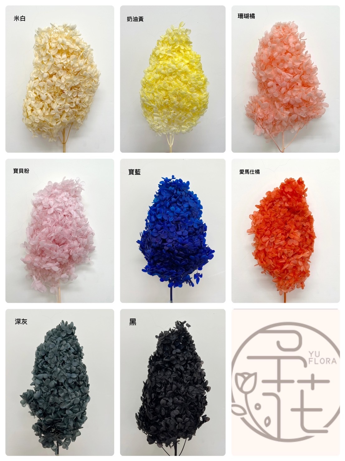 不凋寶塔繡球花(帶桿)