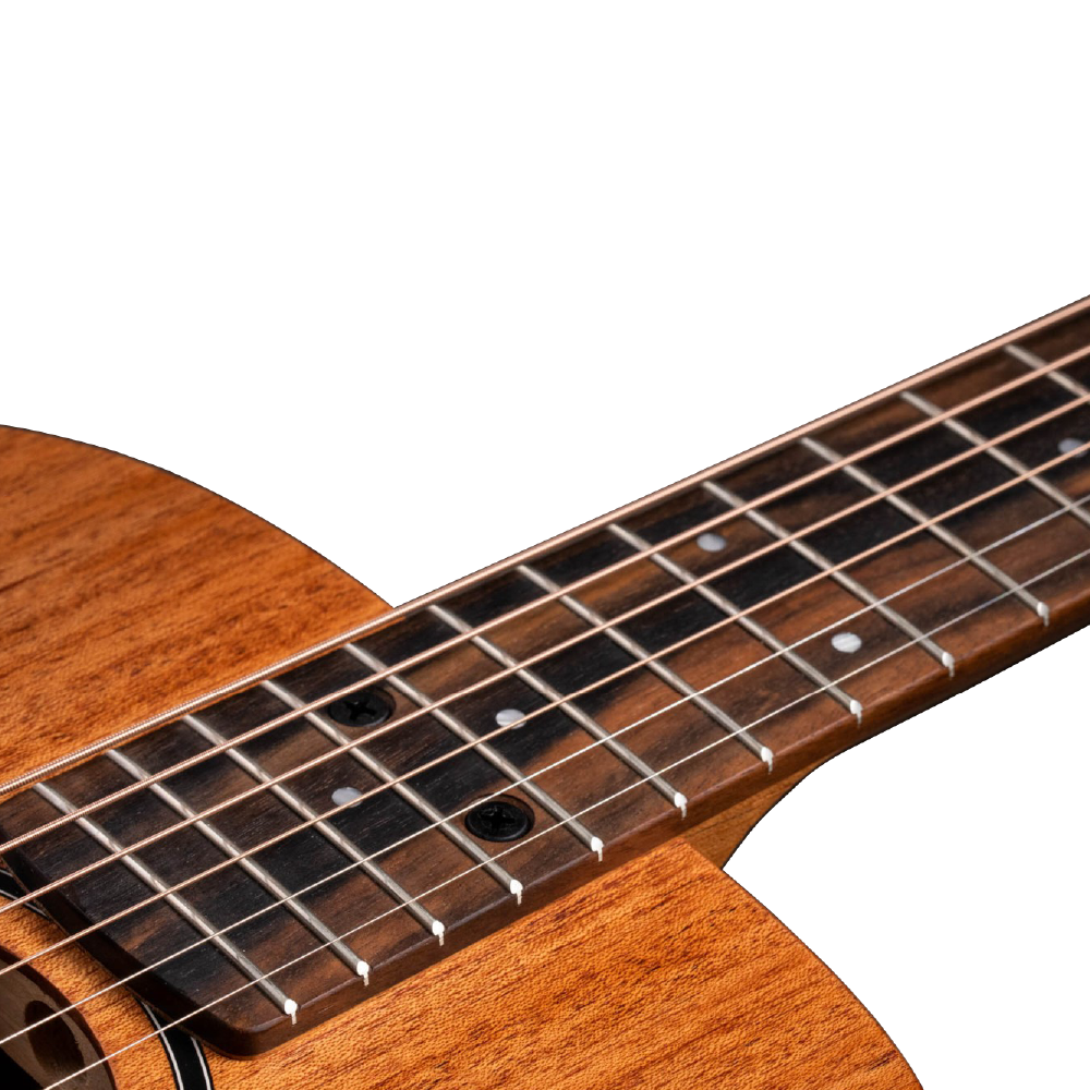 Taylor Taylor / BT2 34吋面單旅行木吉他 第 4 張圖片｜三峽吉他 / Bass