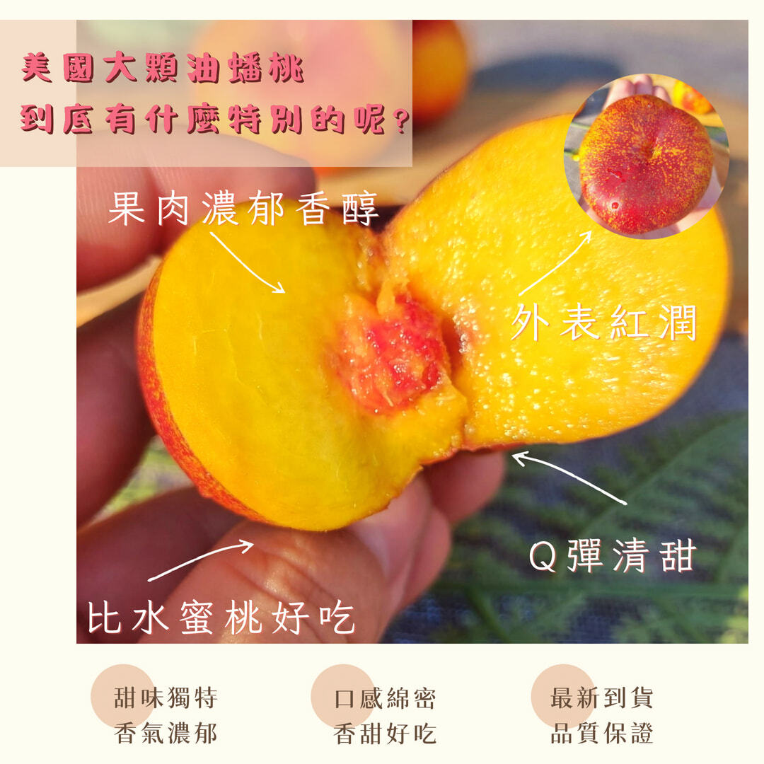 小耳朵油蟠桃