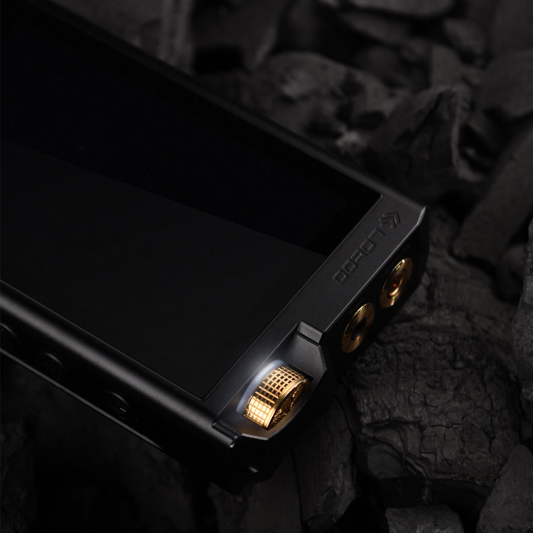 lotoo paw gold 可動品 完全無欠の Lotoo PAW Gold TOUCH用 キャリングケース（バリ
