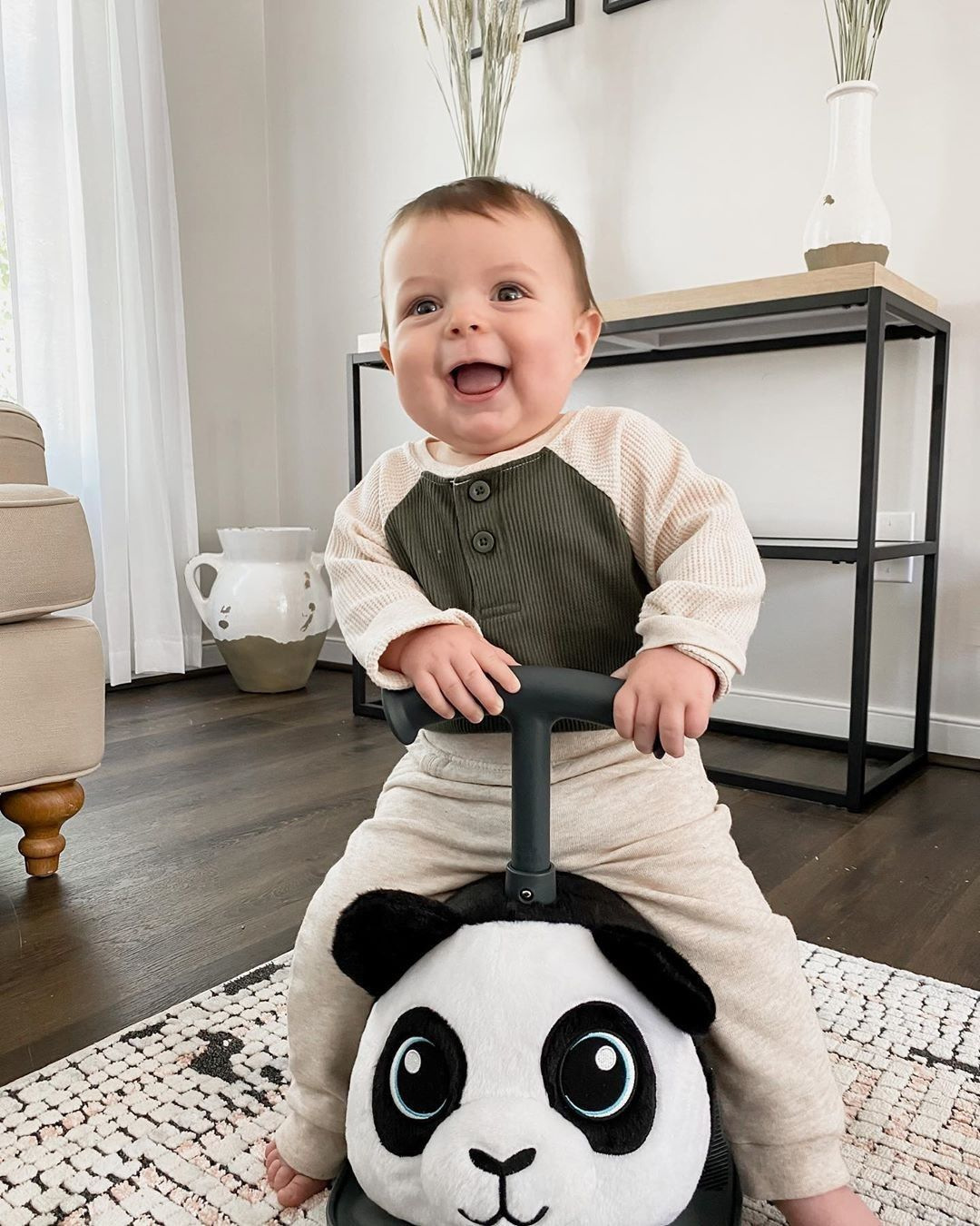 Animal Rock and Roller