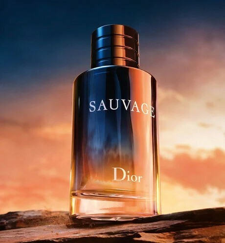 Dior 曠野之心男性淡香水