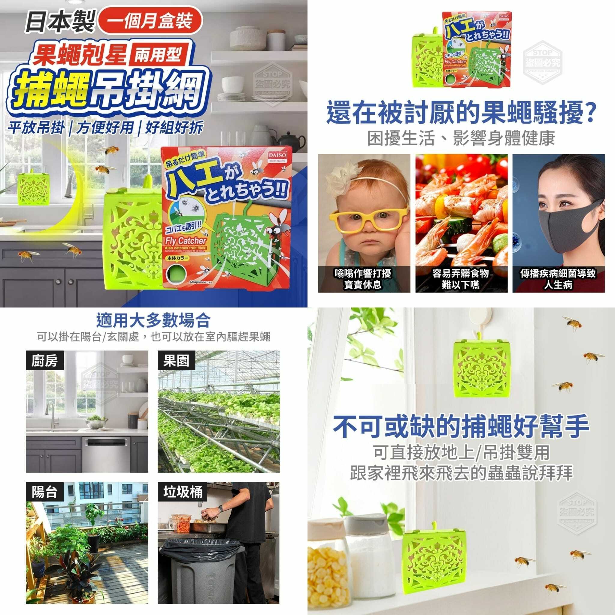 WSBB1611 日本製果蠅剋星兩用型捕蠅吊掛網(一個月盒裝)（現貨A9-20270227）