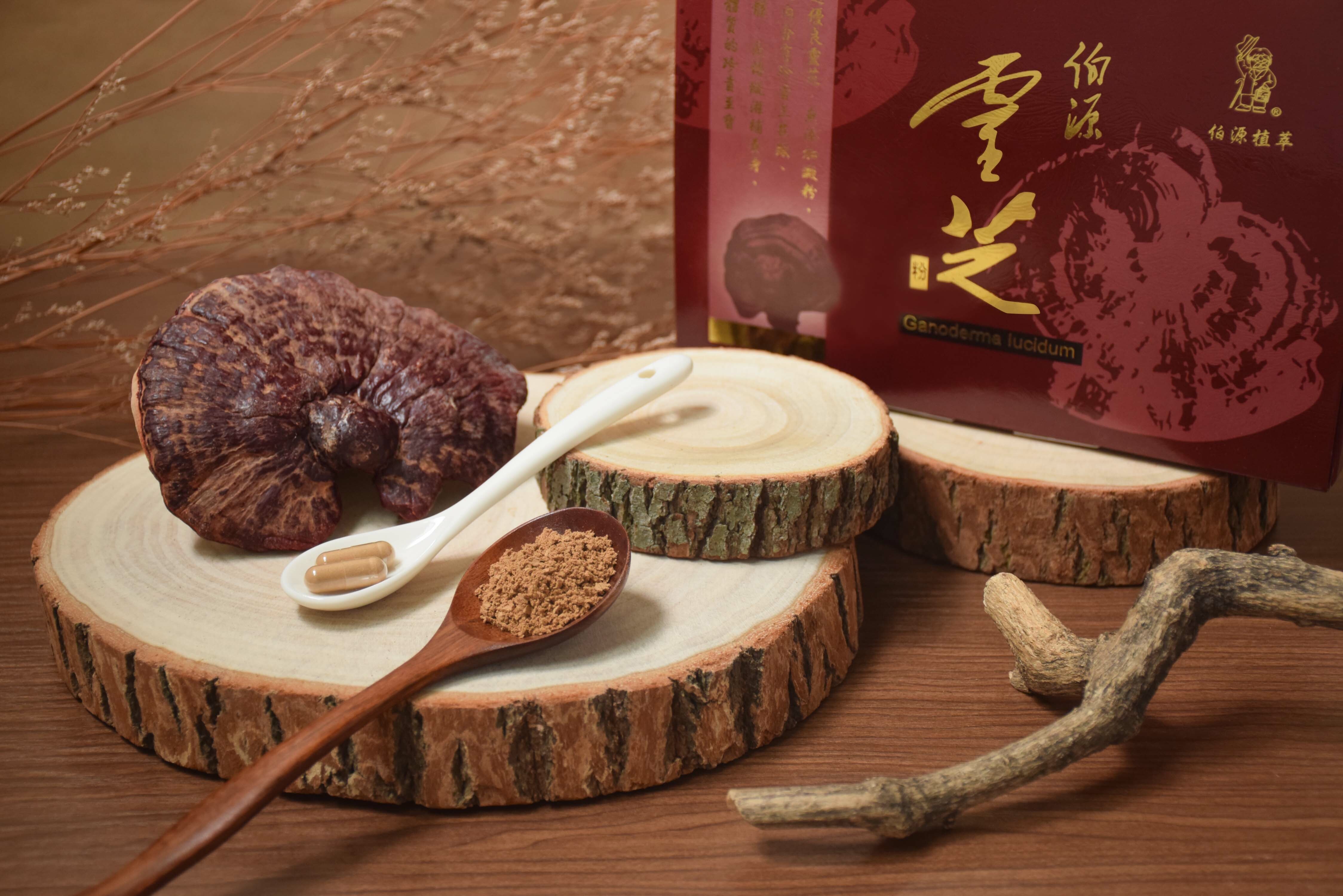 你知道什麼是靈芝嗎？本篇完整說明讓你一次搞懂