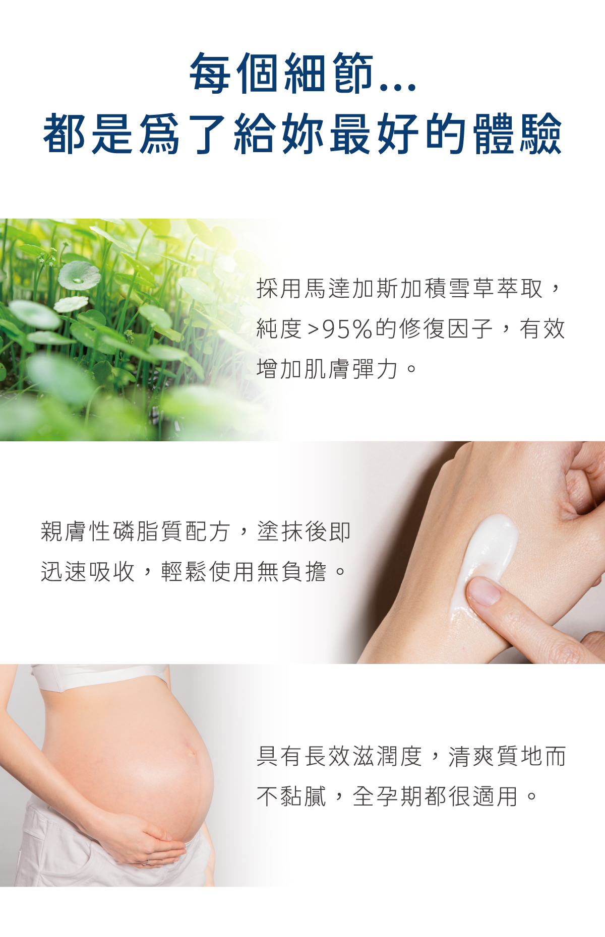 純度高達95% 馬達加斯加積雪草萃取