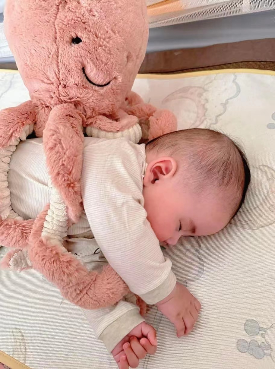 章魚阿姨的小寶貝