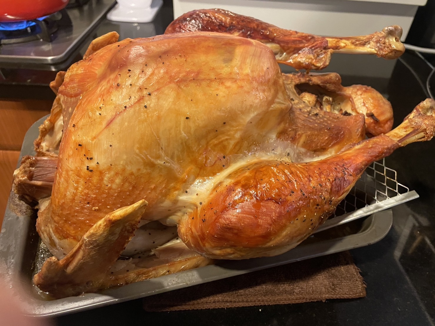 趕食髦生火雞_烤火雞客戶分享