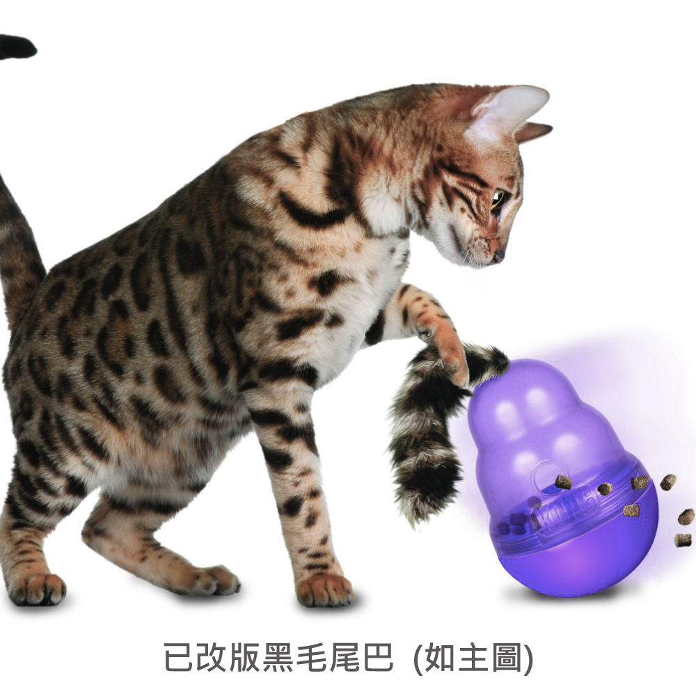 KONG | 貓咪不倒翁