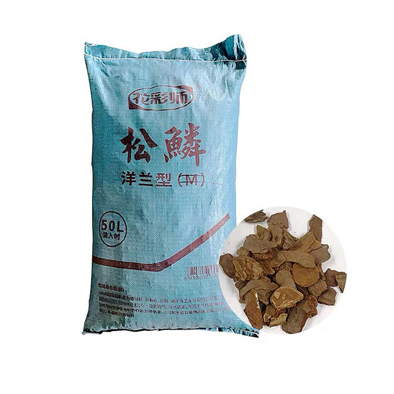 花彩師-松鱗洋蘭介質