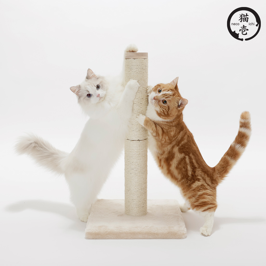 貓壹 新抓抓柱M 麻繩