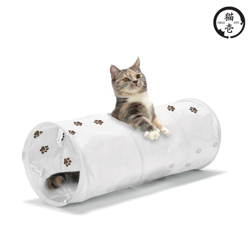 貓壹 奇幻隧道 白