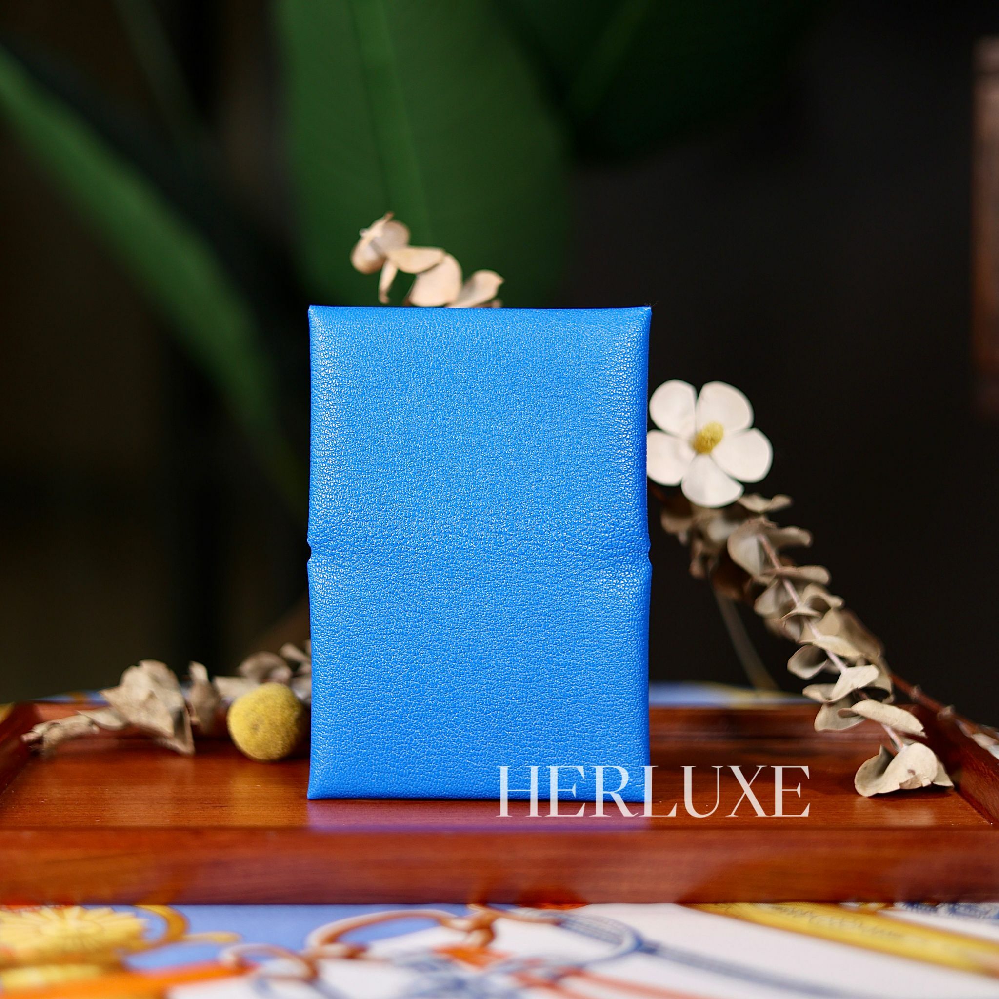 Calvi duo card holder T7 bleu hydra chevre