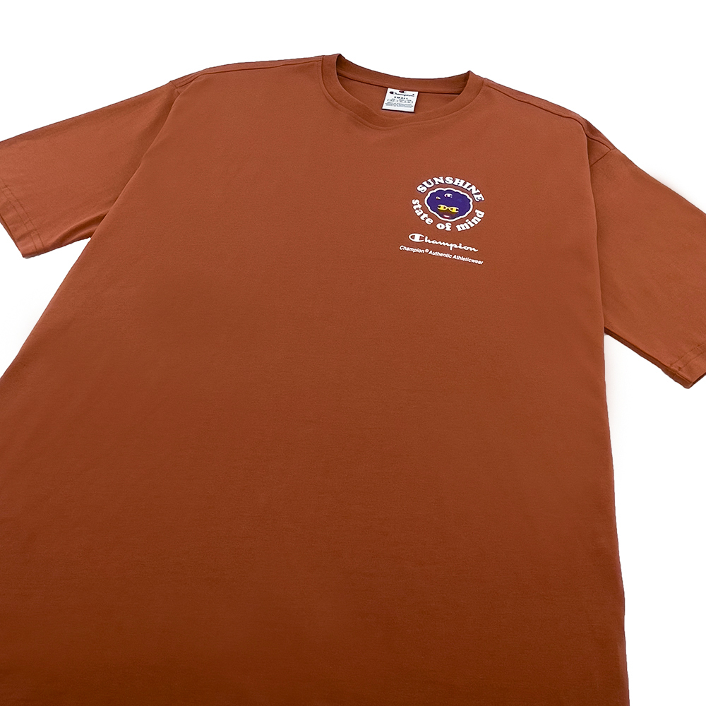 男款-ROCHESTER休閒街頭圖案短袖T恤-褐色（218630-MS075）