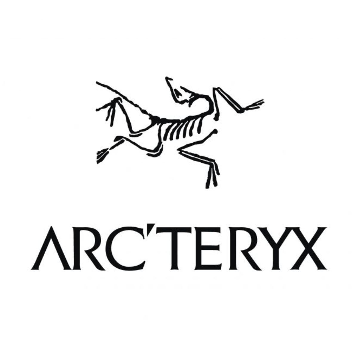 arcteryx