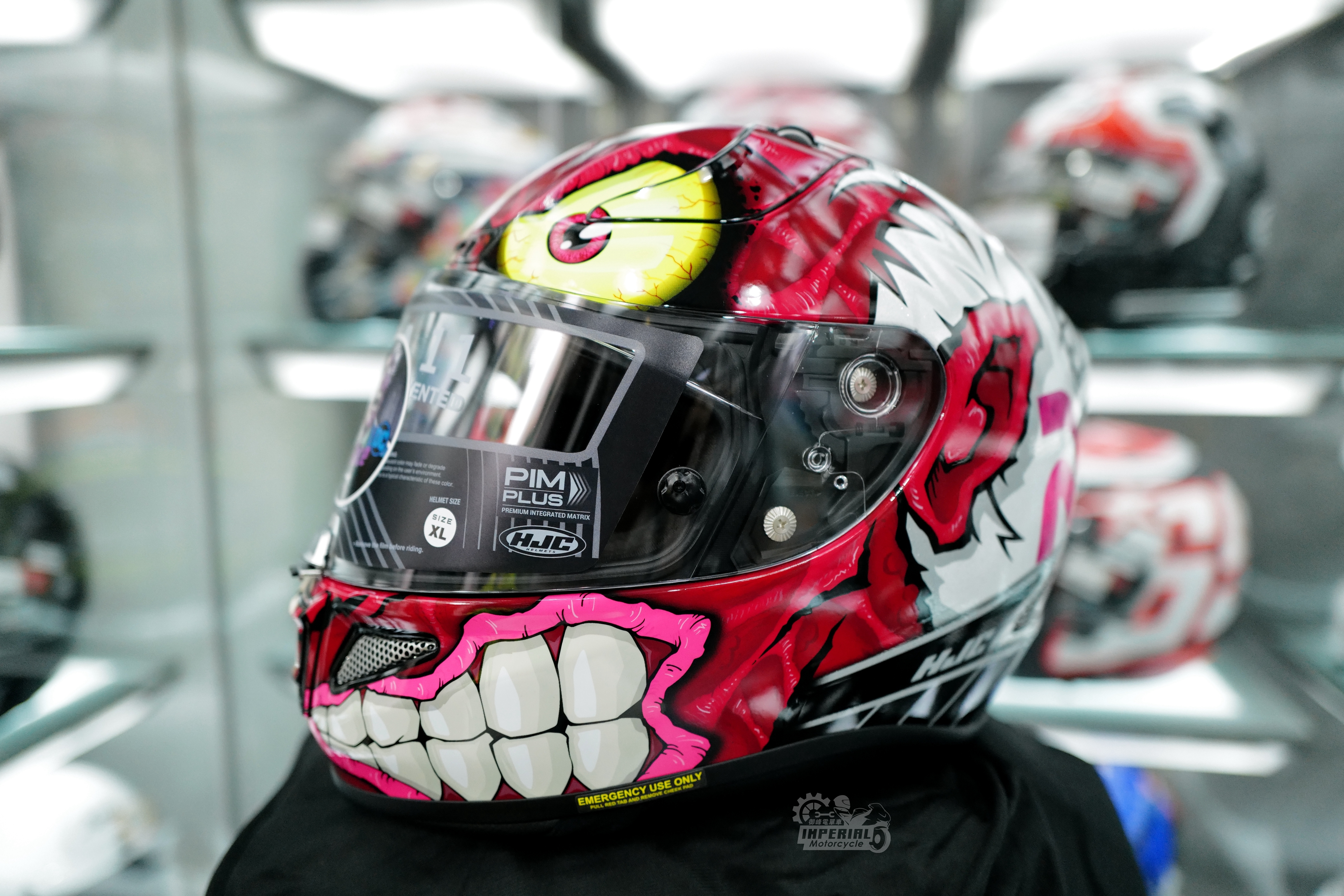 HJC RPHA 11 DC TWO-FACE