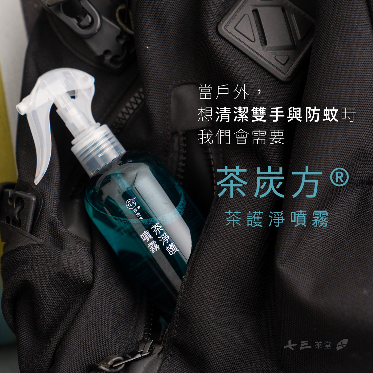 當帶孩童到戶外，想潔淨雙手與防蚊的時候，我們會需要  茶炭方®！