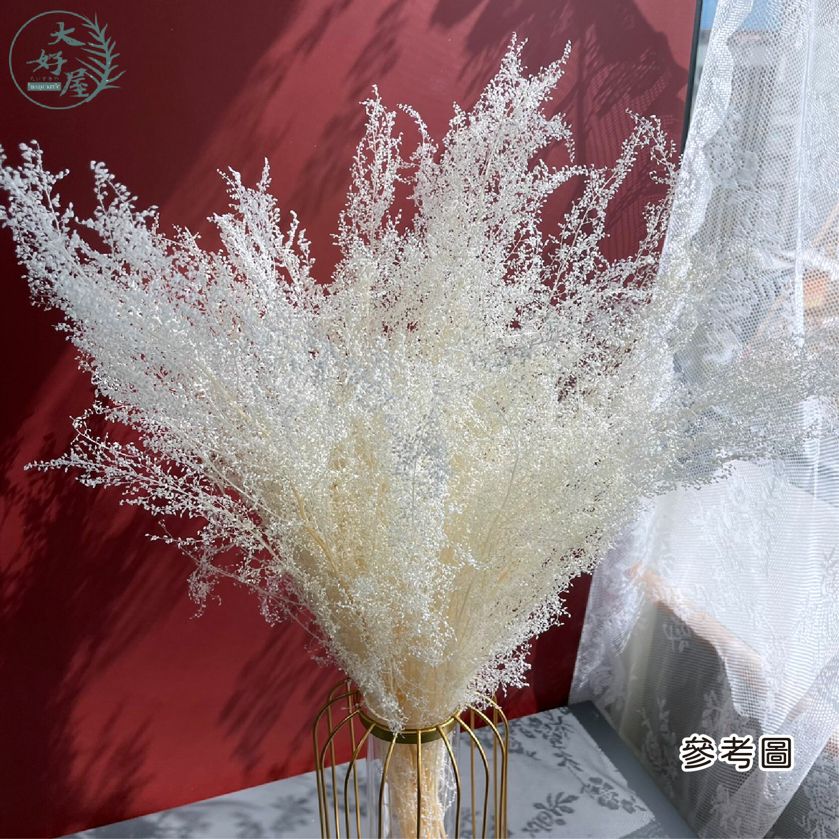 永生咪咪草【大束裝】