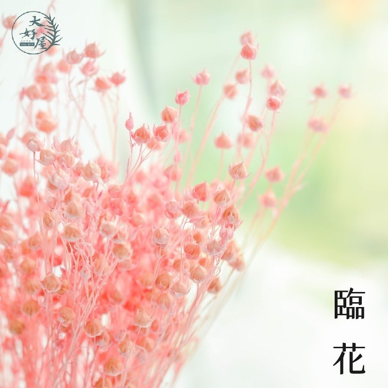 永生/乾燥 臨花【大束裝】(相思豆)