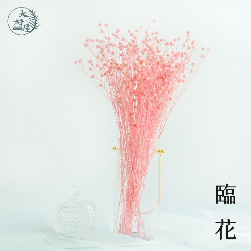 永生/乾燥 臨花【大束裝】(相思豆)