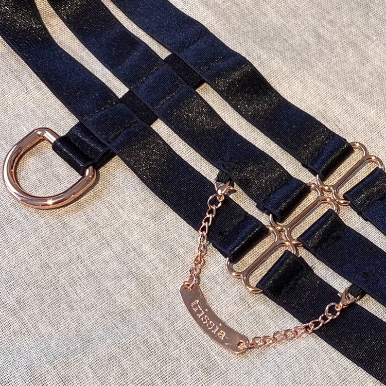 The Chocolate Pocket Garters Belt