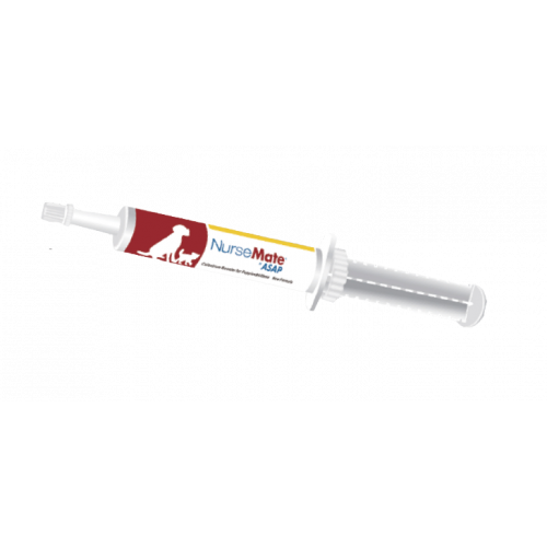 NurseMate ASAP 奶滋味 - 牛初乳營養膏 30ml