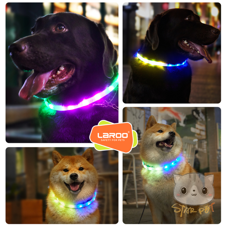 LaRoo Andrew F20 LED collar (Purple/Green) 65cm