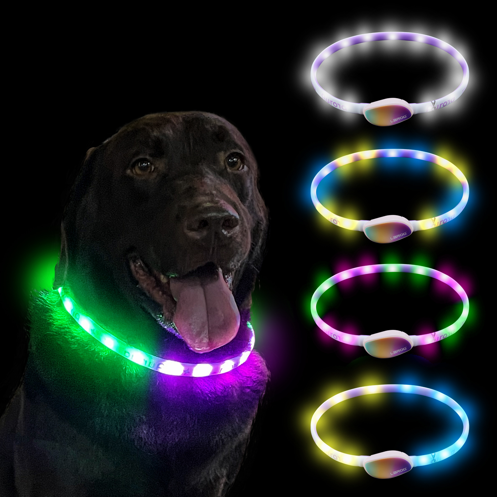 LaRoo Andrew F20 LED collar (Purple/Green) 65cm