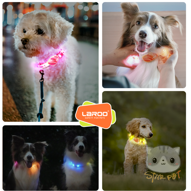 Laroo Forest Ring LED collar (Pink/Orange) 45cm