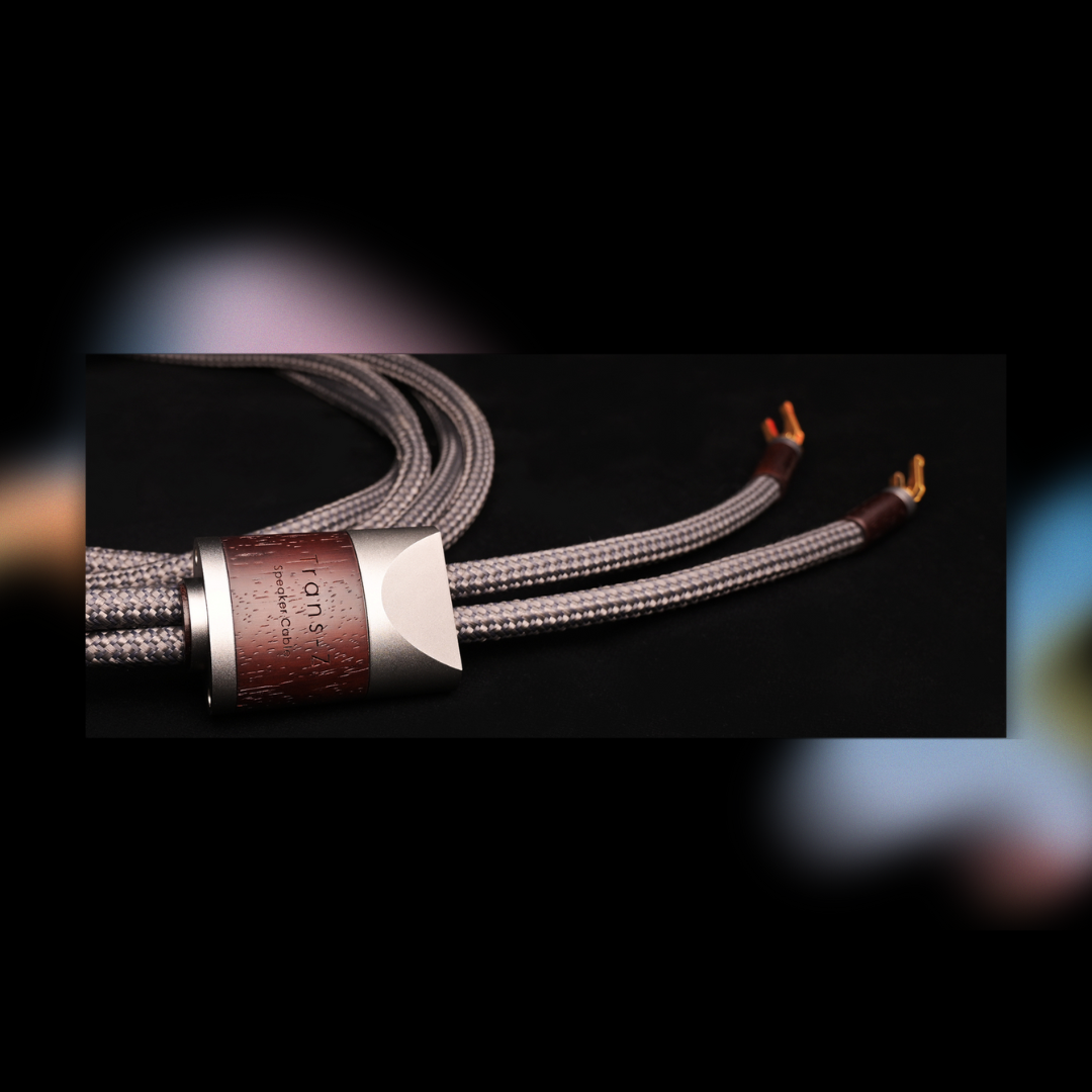 Divini Audio 天樂音響 Trans-Z 旗艦7N OCC喇叭線