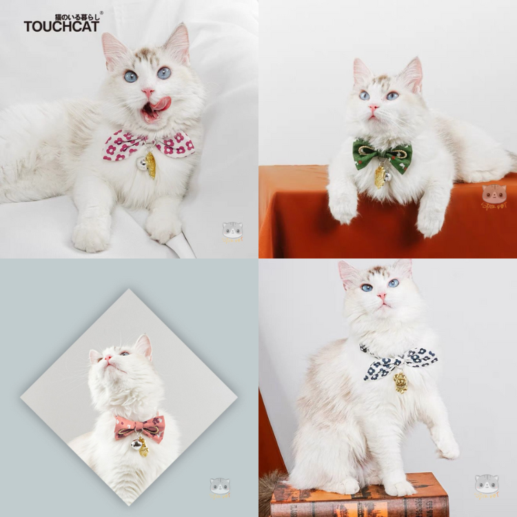 Touchcat Bowtie Cat collar (Pink/Green/Red/Blue)