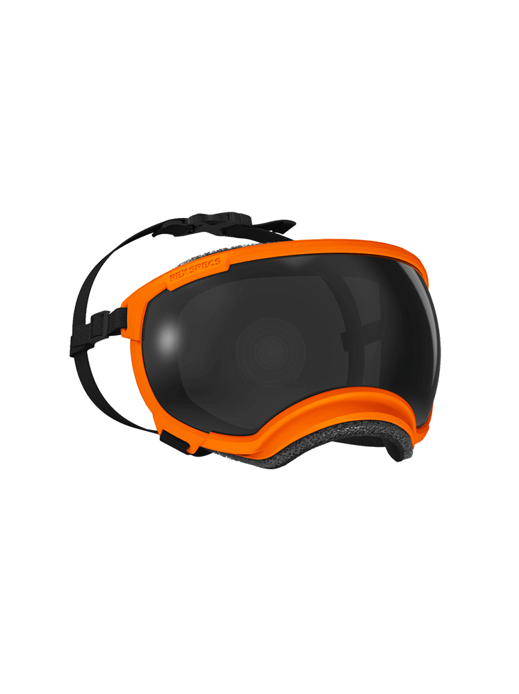 Rex Specs-V2狗狗護目鏡S23 ORANGE｜包旺家寵物選品