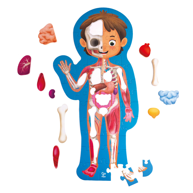 Hape Human Body Puzzle, E1635