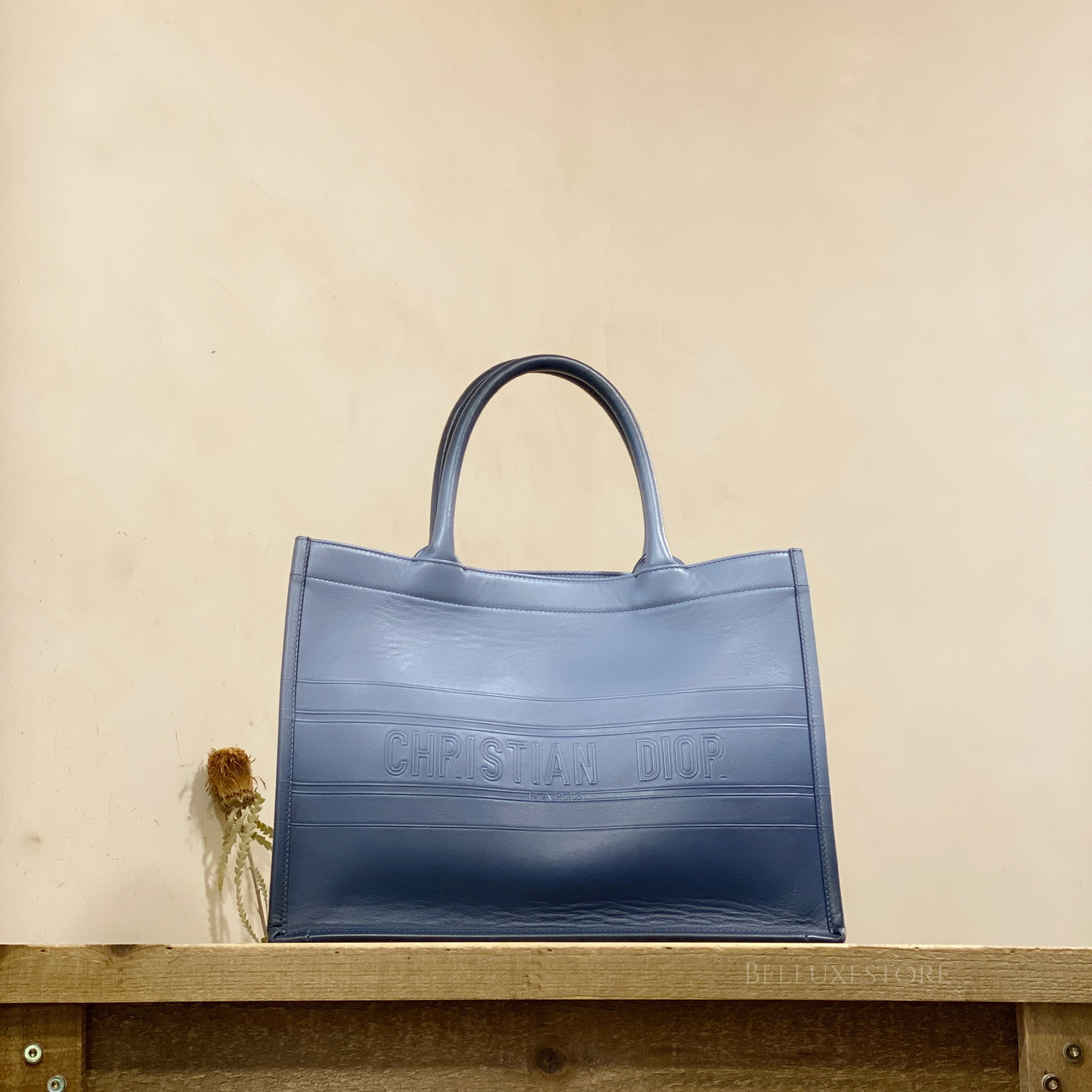 Medium CD Book Tote 36cm Gradient Blue Tiger