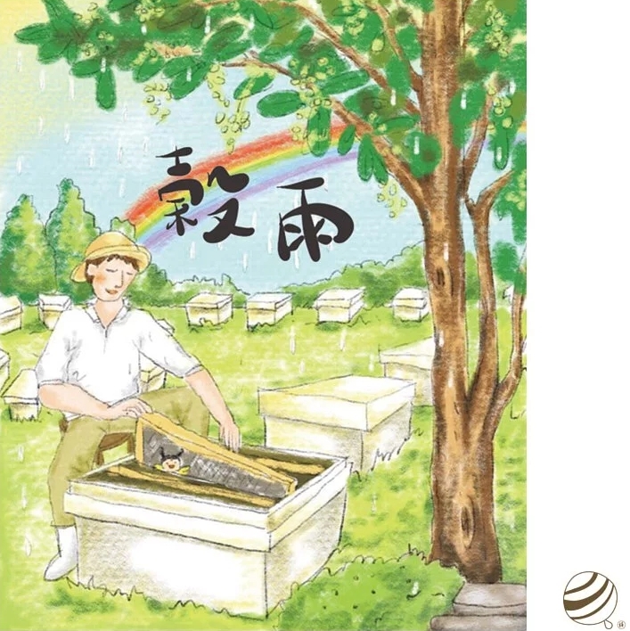 蜂樺蜂蜜｜穀雨-熟成蜜系列