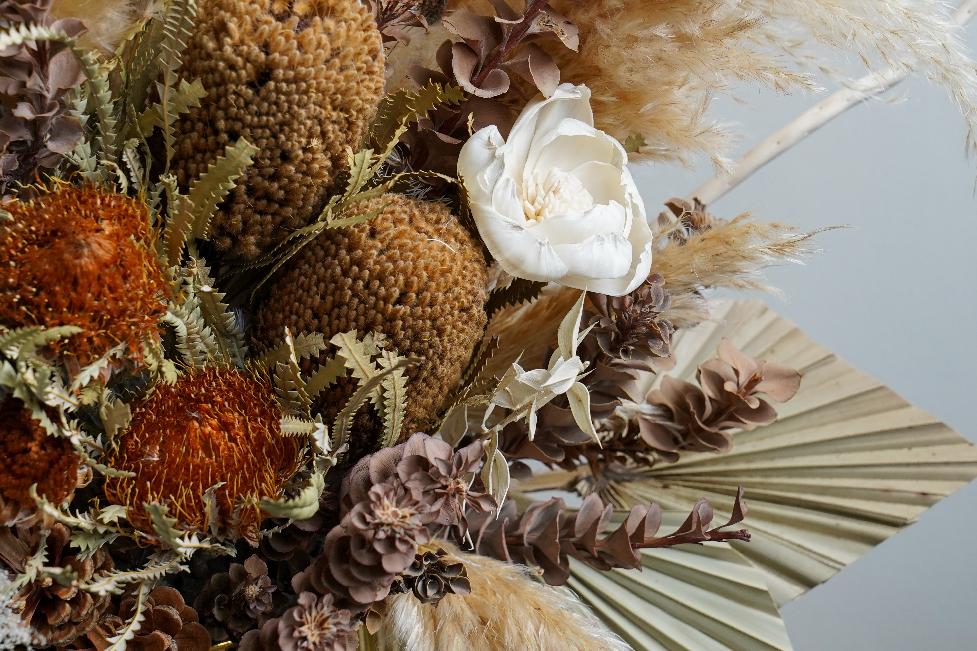 永生花開幕盆栽,非洲叢林系設計