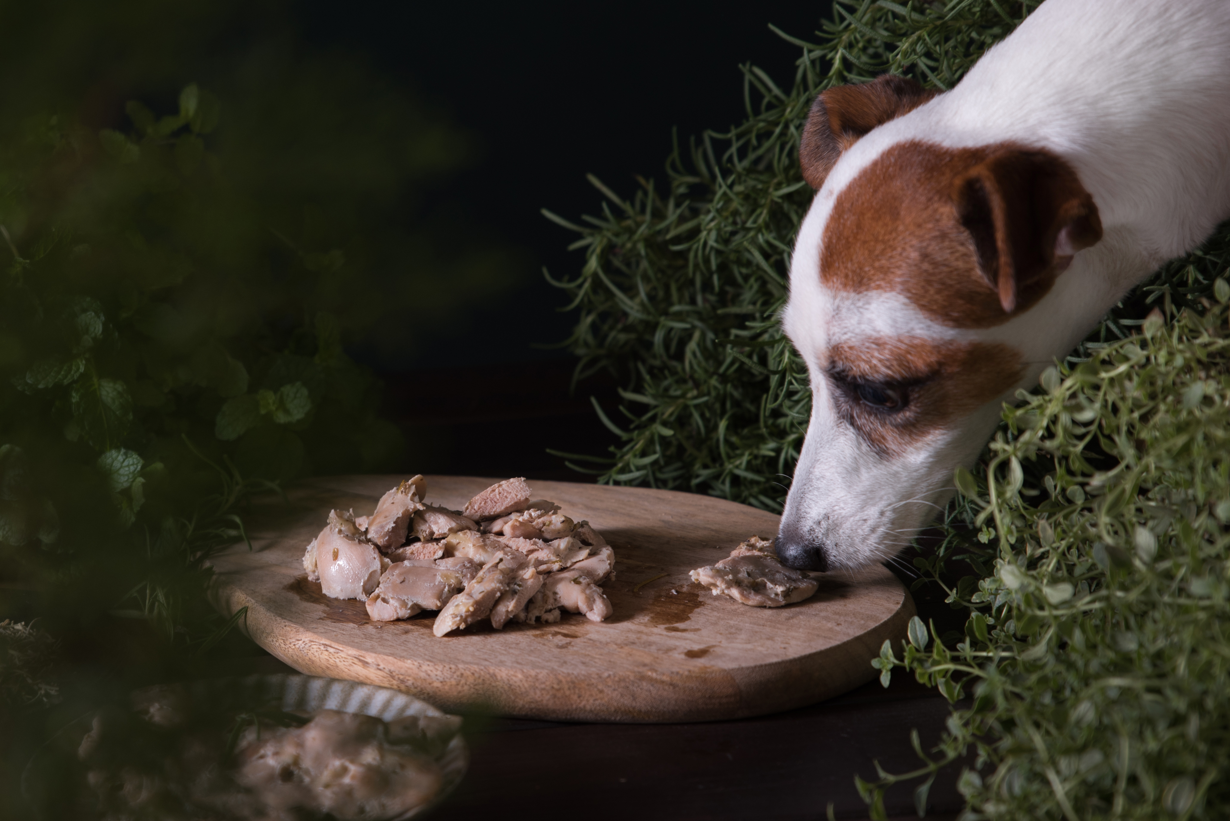 團購優惠-OKi草本無骨G腿 (10入組合)