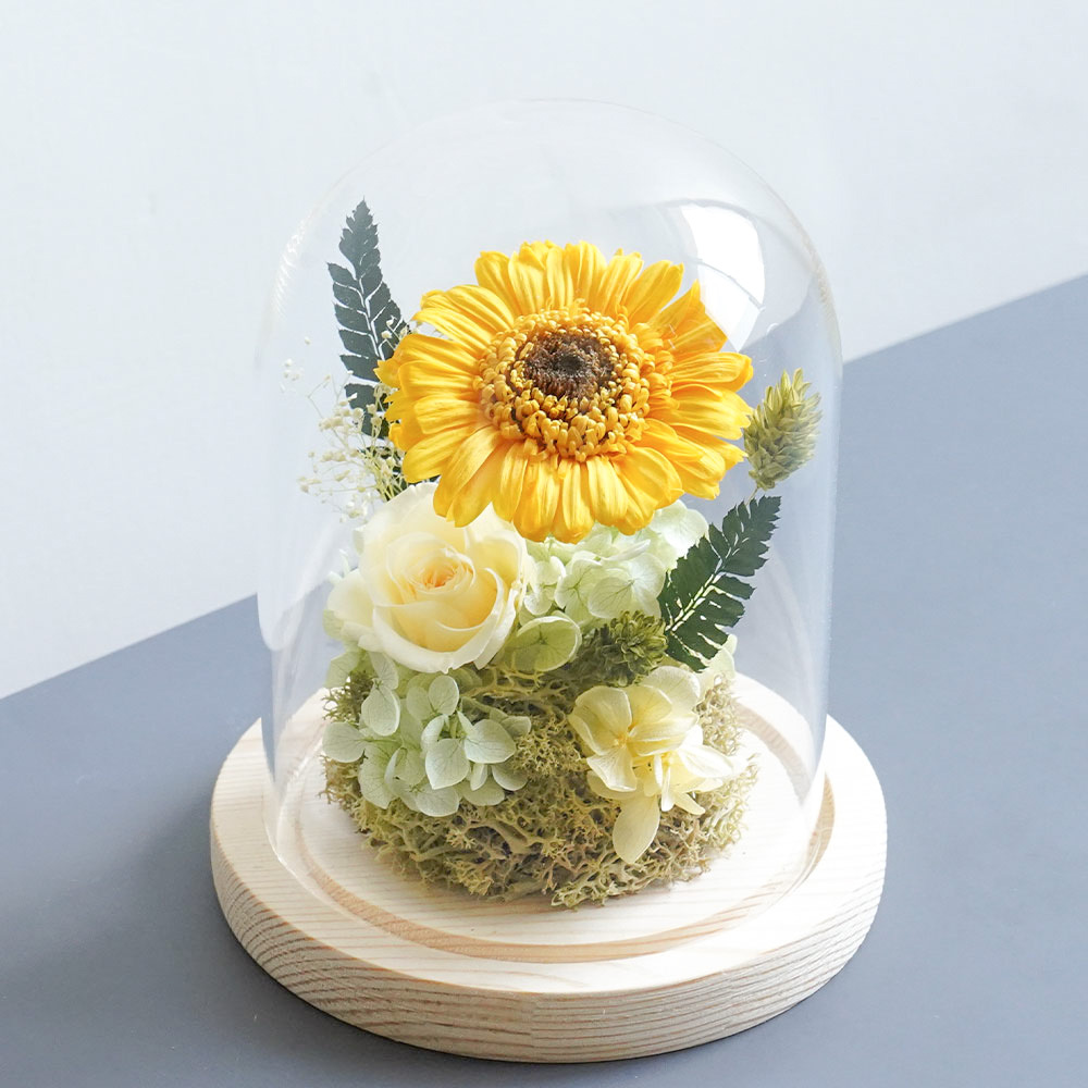 永生花玻璃罩,向日葵永生花推薦,喜歡生活乾燥花店-黃色向日葵