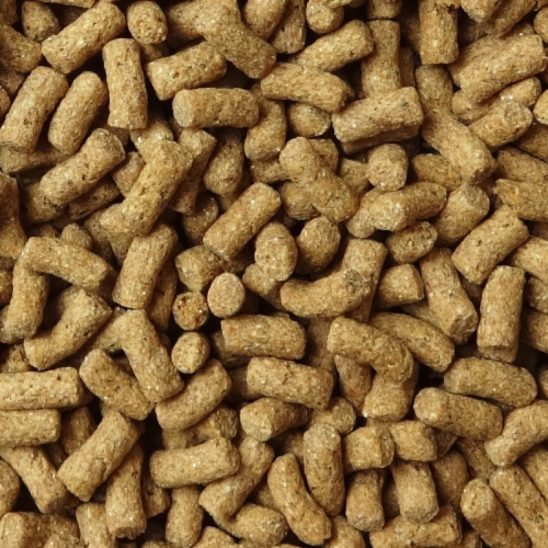 NPF 金裝刺蝟糧 - 350g（50g×7）