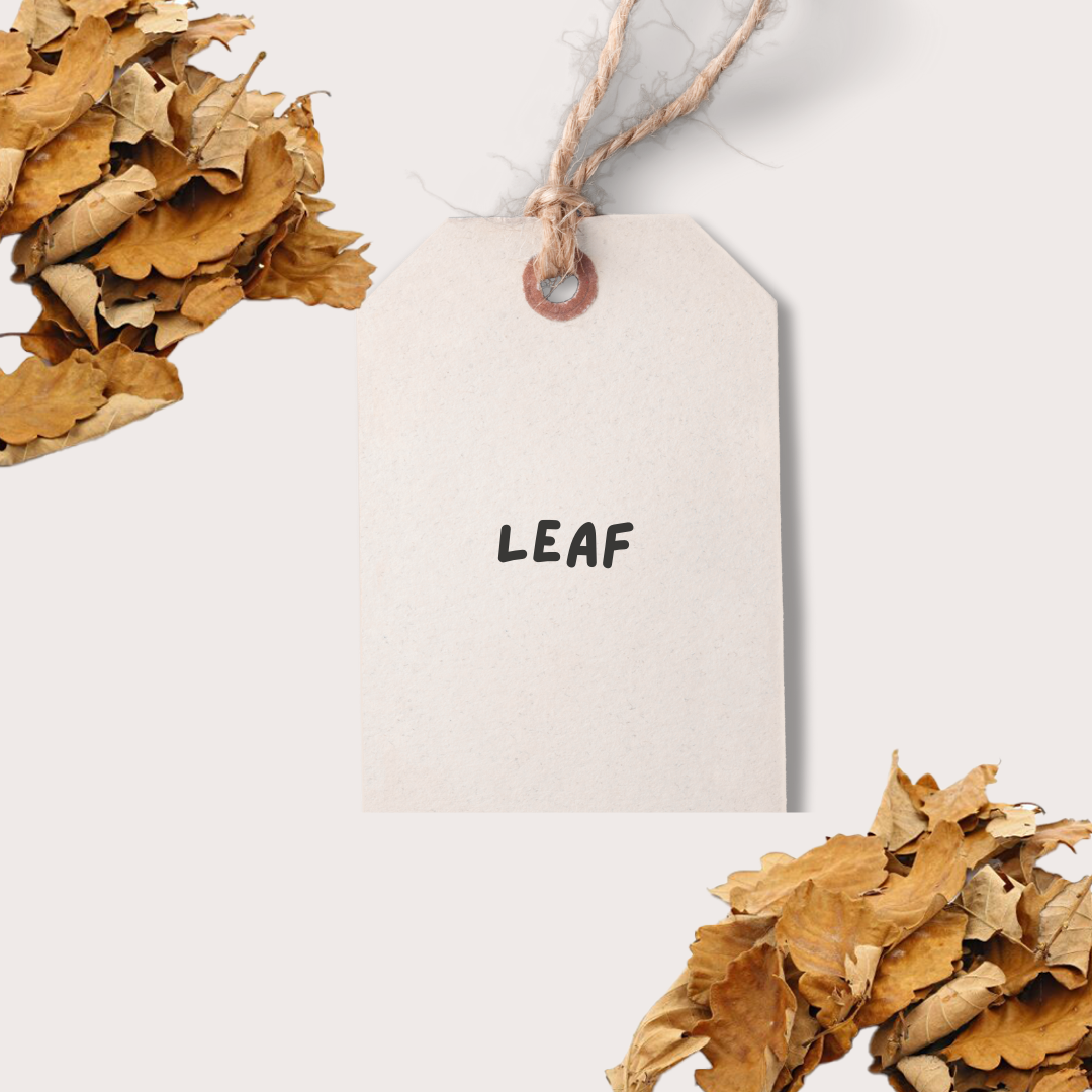 Leaf
