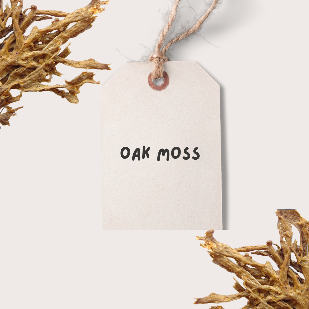 Oak Moss