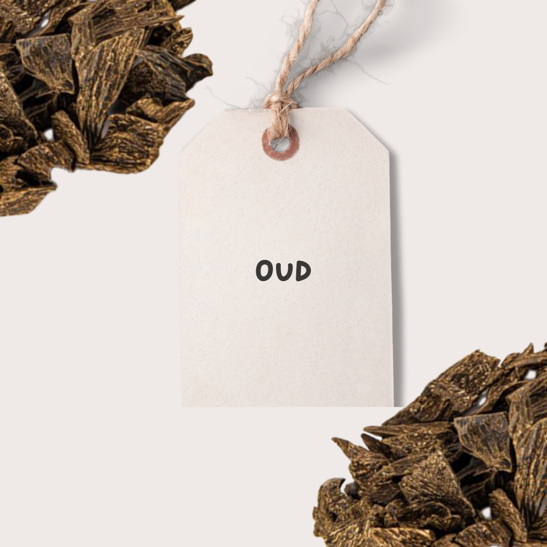 Oud